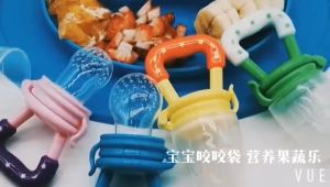Food Grade BPA FREE Empeng Dot Buah Anak Bayi Baby Fruit Feeder Rattle Teether Kompeng Pacifier Gigitan Bayi