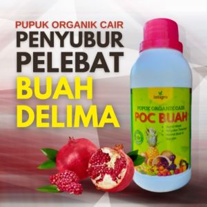 Pupuk Buah Delima / Pupuk Cair Buah Delima Berbuah Delima / Pupuk Booster Pelebat Buah Delima Lebat