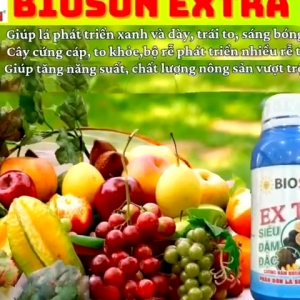 Phân Bón Lá Sinh Học BIOSUN EXTRA 500ml – Siêu Đậm Đặc Lá Xanh Trái To Rễ Khỏe Chống Nấm Nhẹ