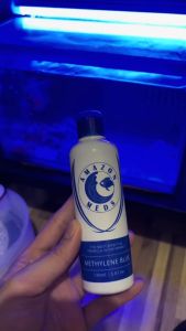 150ml Amazon Methylene Blue Meds Pond Effective Treatment For Fish Diseases Pet Anti Fungal