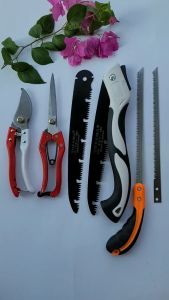 (Freeship) Combo Dụng Cụ Làm Vườn Cây Cảnh Bonsai (Kéo Tỉa Đỏ Kéo Cắt Cành Cưa Gập Kèm Lưỡi Cưa và Cưa Lách New Kèm Lưỡi Cưa) - Dụng Cụ Bonsai Hàng Nhật