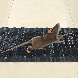 1.2M Mouse Board: A High Effective Rodent & Pest Control Solution