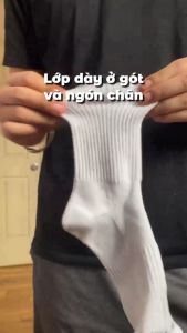 Combo 5 đôi vớ cổ ngắn nam nữ Mr.Socks chất liệu cotton hút ẩm khử mùi có đệm xù êm chân - STA-5009-NGAN-CB5