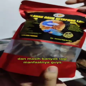DAUN KETAPANG LAUT OLAHAN FERMENTASI SIAP PAKAI BAGUS BUAT IKAN DAN KEBUTUHAN AKUARIUM