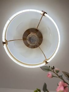Ceiling Fans with Lights and Remote Control 22.6 Inch Modern Ceiling Fan LED Ceiling Fan Light Low Profile Ceiling Fan with Light For Living Room Bedroom