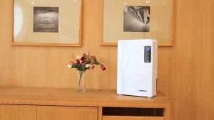 Dehumidifier Air Dryer Serap Kelembapan Pengering Udara 31-40 M2