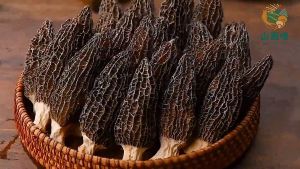 精选野生羊肚菌 Selected Dried Morel Mushroom Morchella 6-9cm 厚大 Yang Du Jun Premium True Morels 50g 菌子菌菇汤包干货
