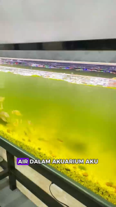 Algaecide Algae Moss Removal Agent Clear Green Water For Aquarium Fish Tank Pond Powerful algae control lasting clarity