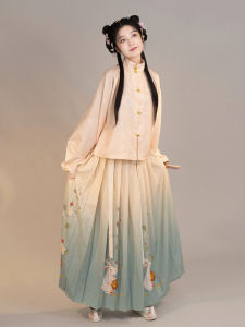 Original Hanfu Womens Autumn Winter Style Stand Collar Sleeve Pleated Skirt Daily Matchings Traditional Chinese Costume