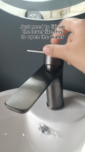 Bareno Brushed Gunmetal Series Raised Basin Cold Tap GM1072