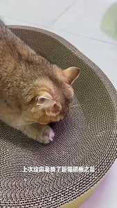 Cat Scratcher Board Corrugated Scratching Board Replaceable Pad Cat Bed Papan Calar Kucing 猫抓板
