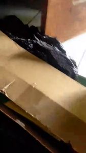 Gergaji Lengkung & Alat Taman: Cara Menggunakan dan Merawat