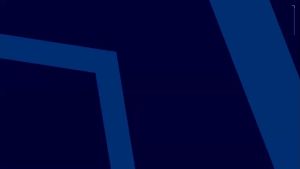 2 in 1 Backpack Organizer - Blue
