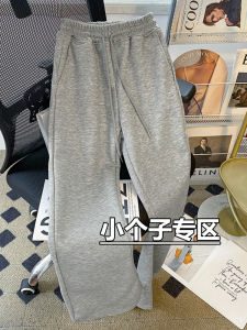 Quần Nỉ Nam Ống Đứng Mỏng Cạp Cao Thể Thao Thường Ngày Mùa Xuân Hè Quần Dài Thường Ngày Phong Cách Hàn Quốc Có Túi
