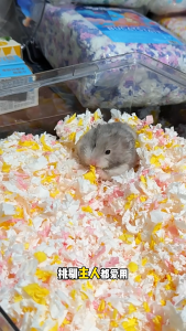 BUCATSTATE Hamster Starry Sky Paper Bedding 400g – Ultra-Fluffy Dust-Free & Highly Absorbent Small Pet Bedding