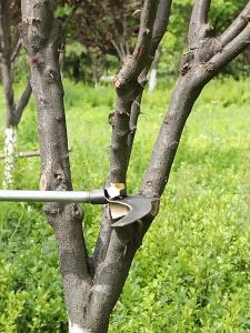 เคียวแมงกานีส 2in1เคียวเหล็ก ตัดไม้ ตัดหญ้า ตัดแต่งกิ่ง อเนกประสงค์ เครื่องมือการเกษตร มีดคายหญ่า ตัดฟืน ตัดหญ้า มีดตัดข้าวสาลี คม เครื่องมือการเกษตร