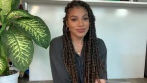14inch Twist Crochet Hair Afro Synthetic Spring Twist Pre Looped Crochet Braiding Hair Extension Passion Twist for Women