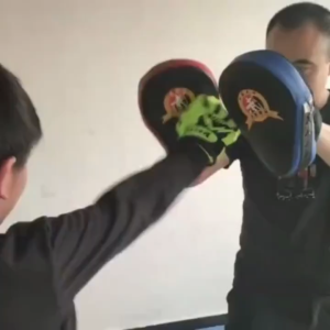 Kick Boxing Gloves Pad Punch Target Bag MMA PU Karate Muay Thai Sanda Training Pad Sarung Tangan Tinju Tebuk Sasaran Beg