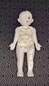 Mainan Edukasi Human Organ Model Belajar Organ Tubuh Dalam Manusia Simulasi Anak