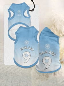 LEXI | Pet Support Vest Anti-Shedding