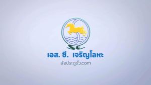 SC ล้อรางแขวนไนล่อน ล้อบานเลื่อนไนล่อน ขนาด 25มิล ABS-1(ใช้คู่กับรางบานเลื่อน 1 นิ้ว)(1กล่องมี 2 ชิ้น)(เฉพาะลูกล้อ)