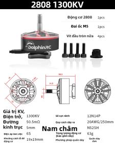 DolphinRC | Động cơ FPV Long-Range 2808/2812 - Mô-men Xoắn Lớn Cho Drone 7-inch+
