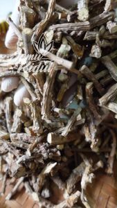 Brotowali Kering 1kg Asli Hutan - Lebih Murah dan Super Pahit