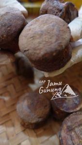 Getah Gambir Kering Murni 100gr - Asli Sumatra
