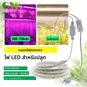 SMD2835 220V 180LEDS/M 12 วัตต์/เมตรคู่แถวโคมไฟลูกปัด IP67 กันน้ําเต็มสเปกตรัมความสว่างสูง LED Grow Light Strip