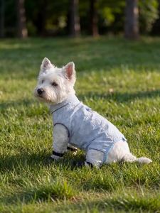 hipidog | Summer Lightweight Breathable Mosquito Insect Repellent Protective Dog Clothes