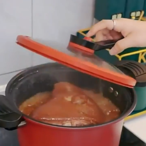 Household Vacuum Micro Pressure Cooker Multi-function Soup Pressure Cooker Induction Cooker Gas Universal