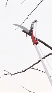 Peralatan Berkebun Gunting Dahan Plus Tali Tarik Potong Ranting Tree Pruner Saw Multifungsi - 6530-6666 - Pisau Tajam dan Anti Karat dengan Desain Rapi
