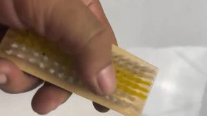 SIKAT CUCI KAYU BAJU MURAH - SIKAT BAJU KAYU KIMO AITERNA NAGOYA