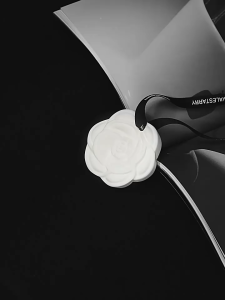 Car mounted aromatherapy pendant for removing odors solid fragrance tablets for hanging long-lasting