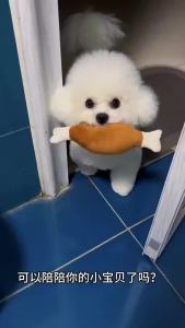 Chicken Leg Shaped Squeaky Plush Dog Toy Soft Chewable Pet Teething Toy Interactive Solution to Stop Furniture Chewing for Puppi