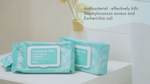 Rainbow | Flushable Wet Toilet Wipes 40s | MoolWipes