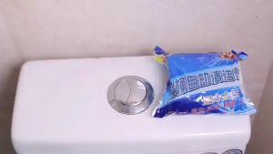 Viên xả bồn cầu viên thả bồn cầu khử mùi viên tẩy bồn cầu diệt khuẩn túi 10 viên - LT Grocery