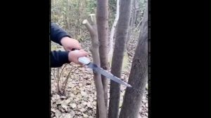 Cưa cành cây Sk5 cao cấp Nhật Bản-cưa cầm tay gấp gọn đa năng