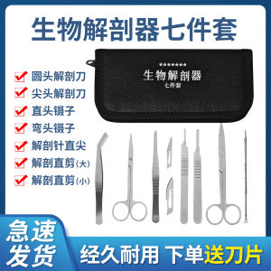 Bộ Dụng Cụ Giải Phẫu Bằng Thép Không Gỉ Bộ Sưu Tập Bảy Món Bộ Sưu Tập Bốn Món Đồ Dùng Giáo Dục Văn Hóa