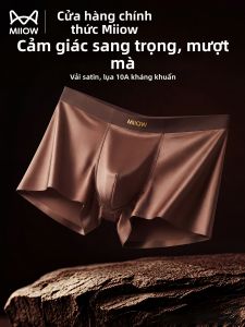 MiiOW | Luxury Silk Satin Anti-Bacterial Mens Underwear