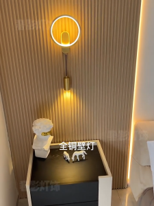 Soyer Lighting Wall Lamp Modern Circular Design with Pendant Light