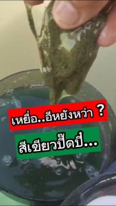 เหยื่อใยแพลงค์ตอน 1 กระปุก | เหยื่อเกี่ยวเบ็ดชิงหลิว ปลานิล บ่อเหมาบ่อแข่ง ส่งด่วนทั่วไทย