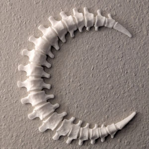 Spinal Cord Moon Wall Hanging Gothic Home Decor Living Room Wall Art Ornament Dissecting Wall Decorations Using Bone Moon Art