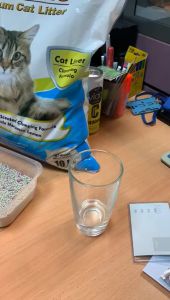 FURRIES Premium Scented Cat Litter - Lemon (10 L) Bentonite Super Clumping Pasir Kucing - Lemon