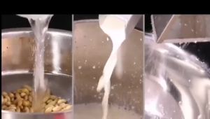 Home Multifunctional Soymilk Machine: A Guide to Freshly Ground Soymilk