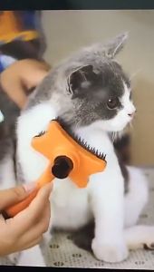Hairball Control Pet Grooming Brush for Cats and Dogs - Safe Non-Toxic Comb for Shedding and Grooming