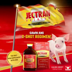 Unahco Jectran Premium Iron Dextran with Zinc 100 ml injectable jectran iron 10ml 20ml kontra piglet anemia