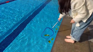 Expandable Leaf Scoop WITH POLE for Swimming Pool Cleaning