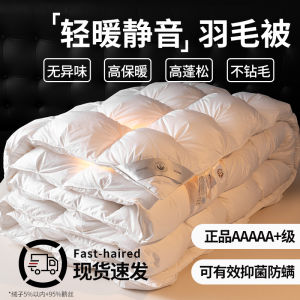 Thick down Comforter Polar Bear Winter Quilt Five Star Hotel Standard Single Person Warm Spring Autumn Four Seasons Universal