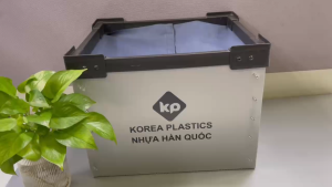 THÙNG NHỰA DANPLA KIỂU CT và KIỂU CT-D-CT&CT-D 형 박스 - Plastics Box